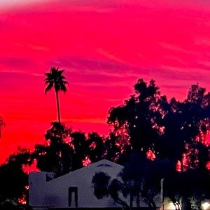 Meet your Posher, Kris